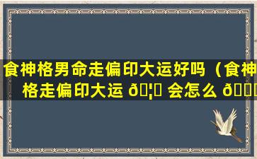 食神格男命走偏印大运好吗（食神格走偏印大运 🦊 会怎么 🐞 样）